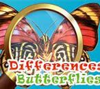 Image result for Butterfly Spot the Difference
