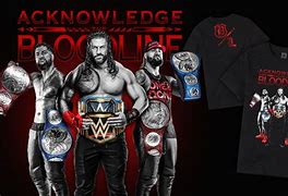 Image result for www WWEShop Com
