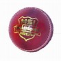 Image result for Cricket Animal