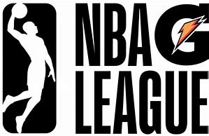 Image result for NBA G League Team Logos