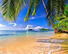 Image result for Tropical Beach Pictures