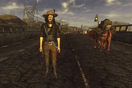 Image result for Fallout New Vegas Courier 6