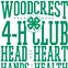 Image result for Craft Ideas For4h