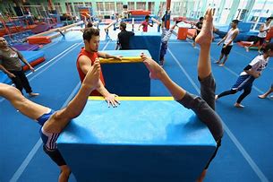 Image result for Adult Gymnastics