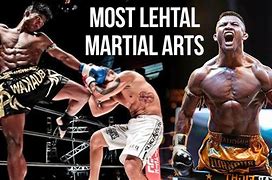 Image result for most lethal martial art