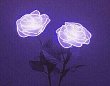 Image result for Aesthetic Light Neon Purple