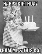 Image result for Happy Birthday Meme Funny Quotes