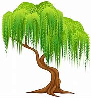 Image result for Willow Tree Clip Art Autumn