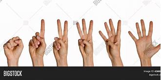 Image result for Counting Fingers