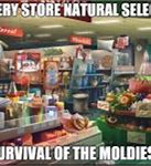 Image result for Galaxy. Shop Meme