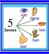 Image result for Five Senses Activities for Koids