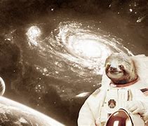 Image result for Astro Sloth