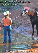 Image result for Horse Water Meme