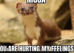 Image result for Weasel Memes Funny