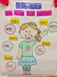 Image result for 5 Senses Kindergarten