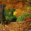 Image result for Cute Fall Backgrounds for iPad