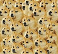 Image result for Are You Serious Dog Meme