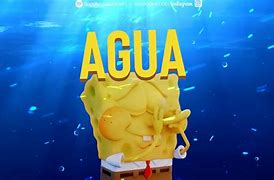 Image result for aguazz