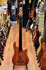 Image result for Carvin Ac50f Museum Pictures