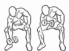 Image result for Best Bicep Workouts