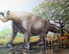 Image result for Largest Extinct Animal