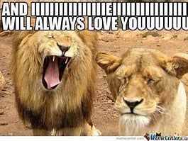 Image result for Meme Lions Oh My