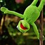 Image result for Kermit Frog Heart Meme