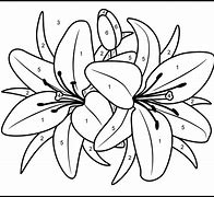 Image result for Flower Paint by Number Template