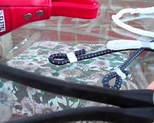 Image result for Apartment Double End Bag