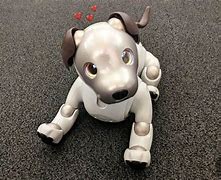 Image result for Robot Dog Name Stella