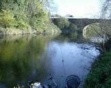 Image result for Severn River Fishing