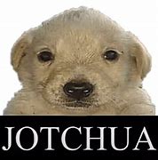 Image result for Jotchua Dog PNG