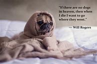 Image result for Funny Quotes About Dogs
