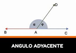 Image result for axyacente