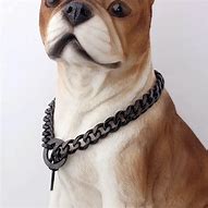 Image result for Metal Dog Collar Discoloring Dog Fur