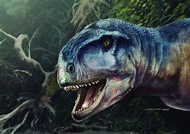Image result for Predator Carnivore