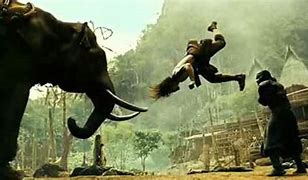 Image result for Kung Fu Elephant