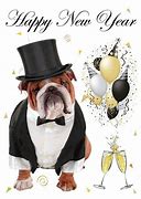 Image result for Happy New Year Bulldog Meme