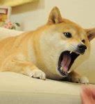 Image result for Banana Doge Meme