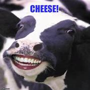 Image result for Say Cheese Meme
