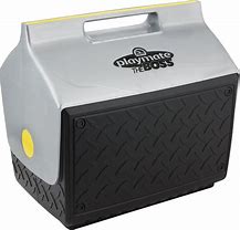 Image result for Small Igloo Cooler