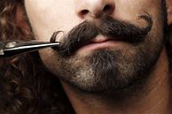 Image result for Mustache Hair