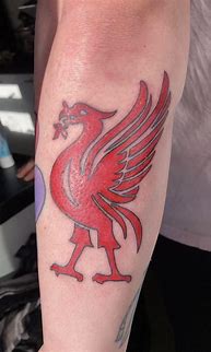 Image result for Liverpool Bird Tattoo
