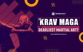 Image result for Deadliest Martial Arts Krav Maga