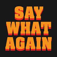 Image result for Say What Again