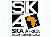 Image result for Ska Africa
