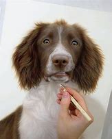 Image result for Painting Dogs in Colored Pencil