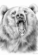 Image result for Bear Pencil Sketch