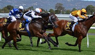 Image result for Free Printable Horse Racing Programs