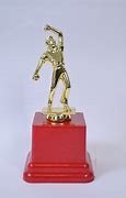 Image result for Golden Color Cricket Trophy